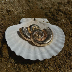 Sea Goddess Spiral Gold Shell Stud Earrings by Freya Fabric