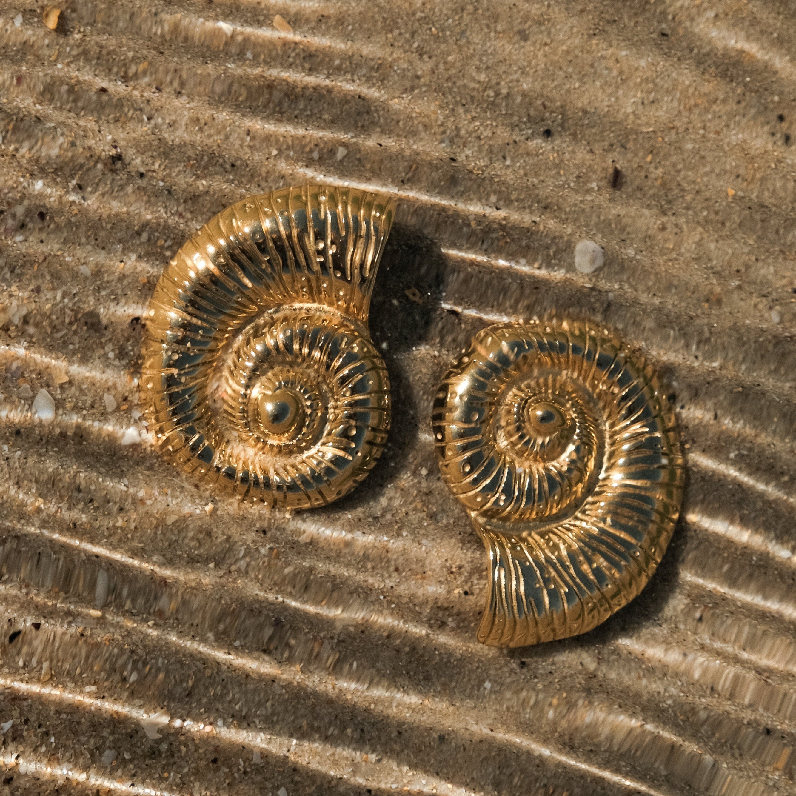 Sea Goddess Spiral Gold Shell Stud Earrings by Freya Fabric
